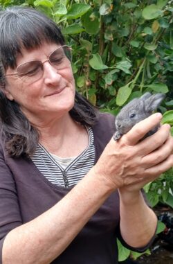 Food Waste Summit 2026